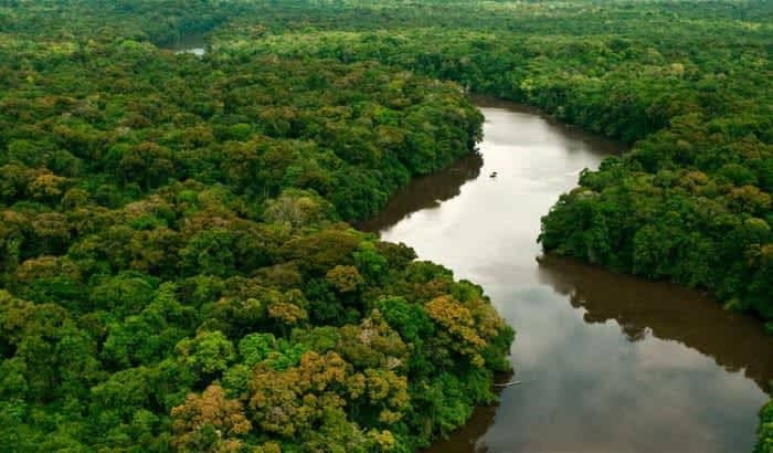 Тропические леса Амазонки.